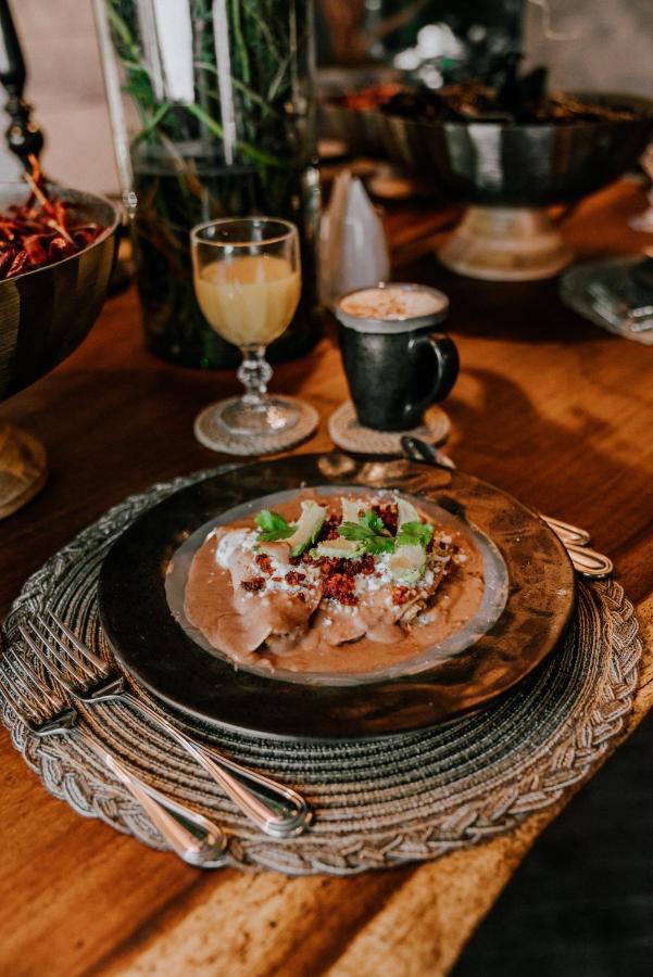 メキシコシティ Casa Luciana Condesaヴィラ エクステリア 写真